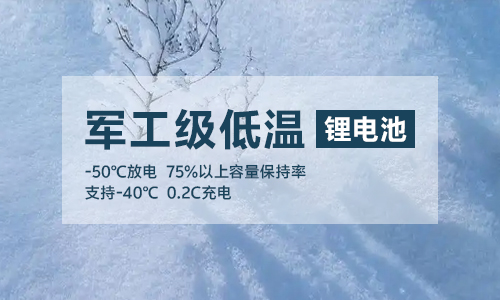 军工级低温91免费福利网站池UPS